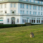 Inselhotel Rote Erde, Borkum